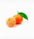 MANDARINA CON HOJA