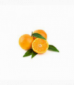 MANDARINA NARDORCOT