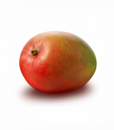 MANGO KENT (POR AVIÓN)