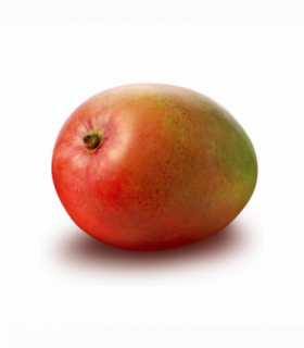 MANGO KENT (POR AVIÓN)