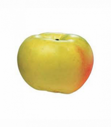MANZANA VERDE DONDELLA