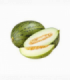 MELÓN CARIDUL