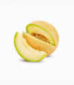 MELÓN GALIA