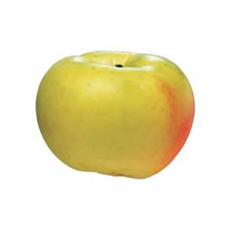 MANZANA VERDE DONDELLA