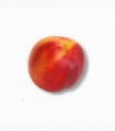 NECTARINA 1 M