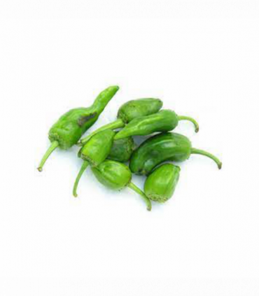 PIMIENTO ROJO CALIFORNIA