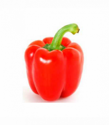 PIMIENTO ROJO LAMUYO