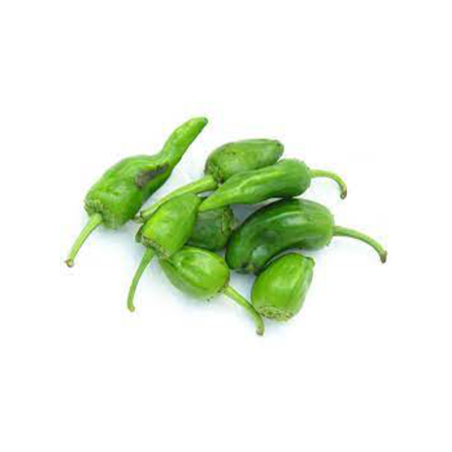 PIMIENTO PADRÓN