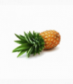 PIÑA DOLE