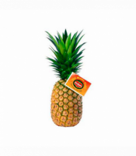 PIÑA DEL MONTE
