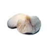 SETA SHIITAKE