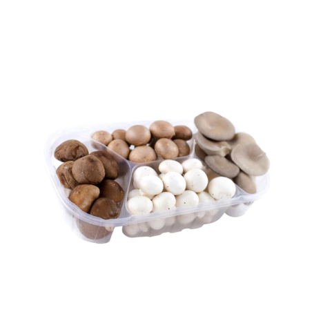 SETA MINI SELECCIÓN