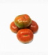 TOMATE ENSALDA 1 M SELECCIÓN