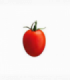 TOMATE PERA