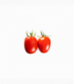 TOMATE BOLA