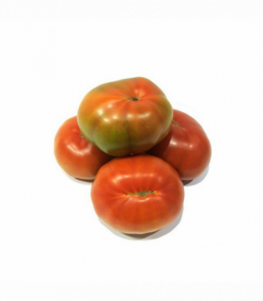 TOMATE ENSALADA "CASI" SELECCIÓN