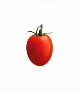 TOMATE PERA