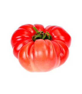TOMATE PINK