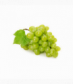 UVA BLANCA VICTORIA