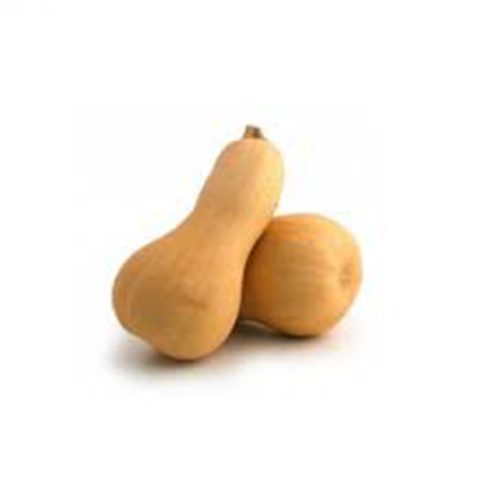 CALABAZA VIOLÍN