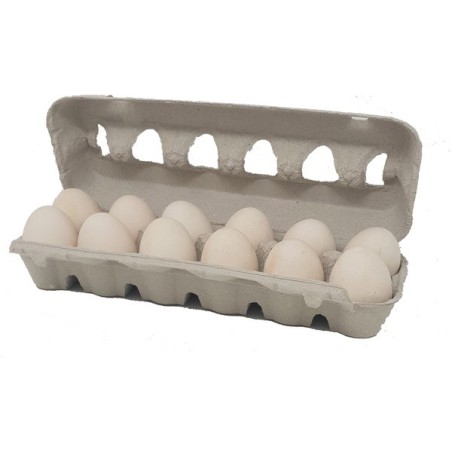 HUEVOS ESTUCHE DOCENA XL