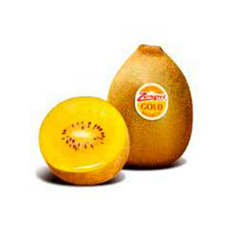 KIWI ZESPRI SUNGOLD