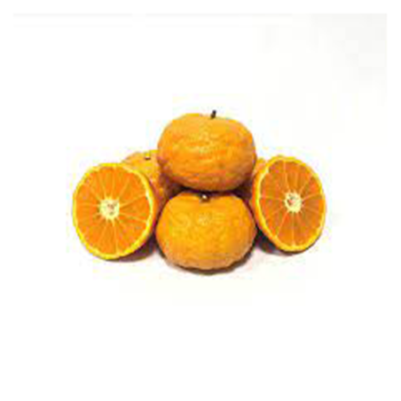 MANDARINA ORRI DE ANTAS