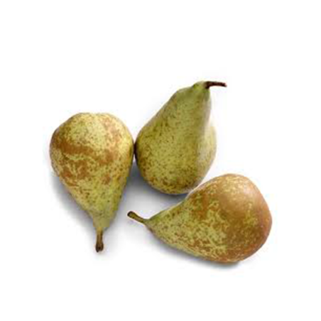 PERA CONFERENCIA GRANEL