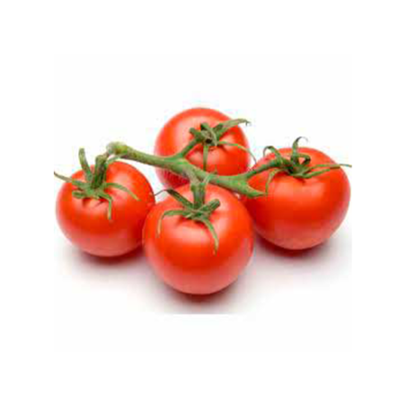 TOMATE RAMA