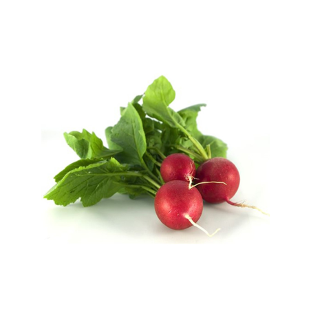 RABANITO