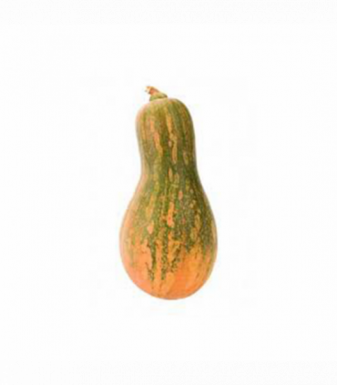 CALABAZA CARRUECANO