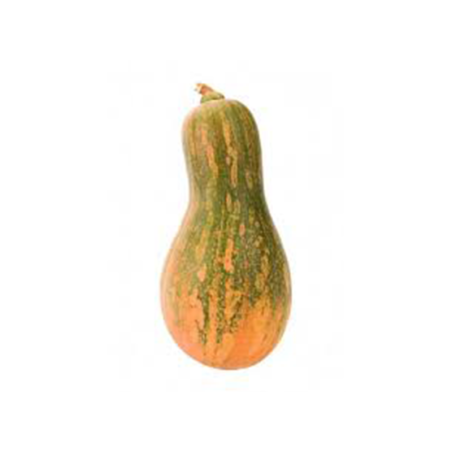 CALABAZA CARRUECANO