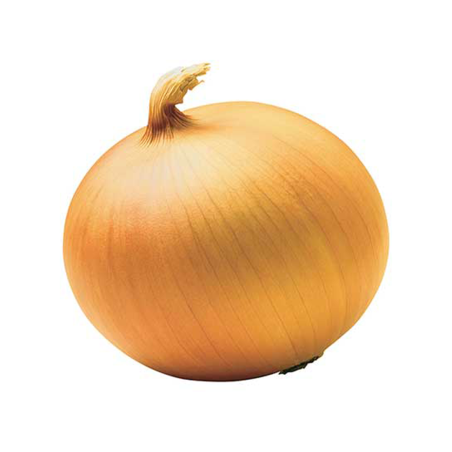 CEBOLLA