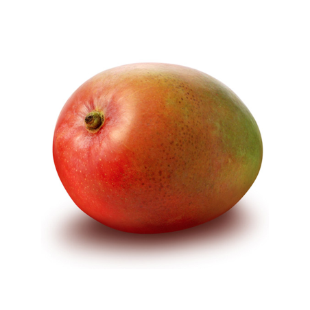 MANGO KENT POR AVIÓN