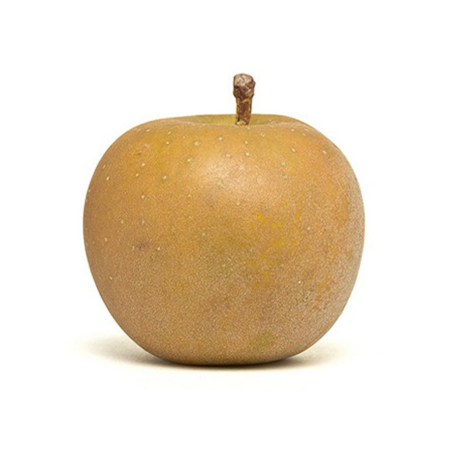 MANZANA REINETA
