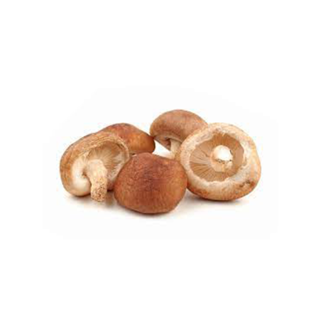 SETA SHIITAKE