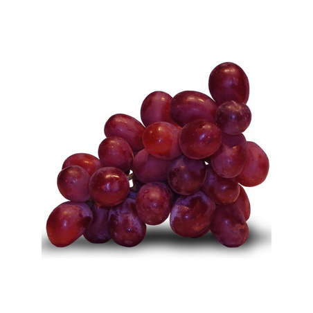 UVA RED GLOBE