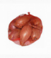 CEBOLLA GRANO