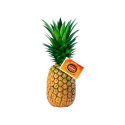 PIÑA DEL MONTE