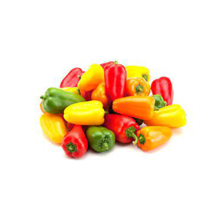 PIMIENTO TRICOLOR MINI