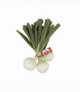 CESTA COMPOSICIÓN 1