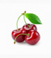 CEREZA M