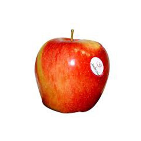 MANZANA AMBROSIA