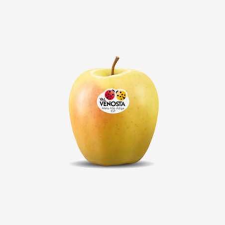 MANZANA GOLDEN VAL VENOSTA 1 M
