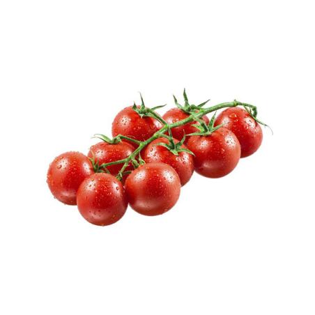 TOMATE CHERRY RAMA