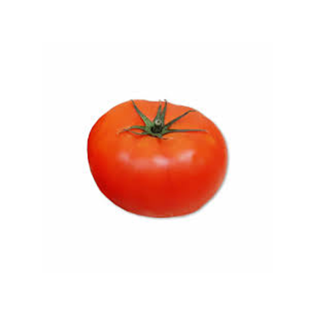 TOMATE DANIELA GG
