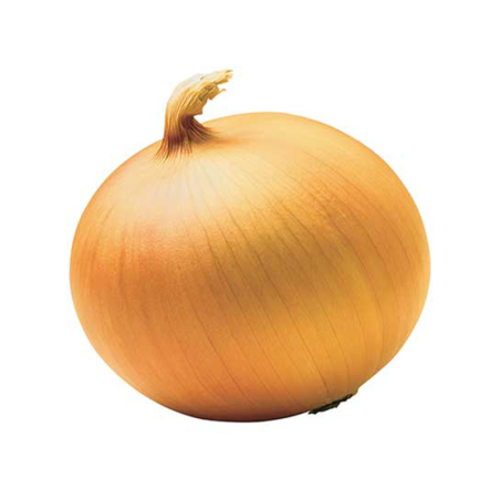 CEBOLLA