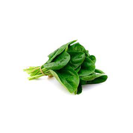 ESPINACA