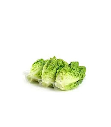 COGOLLO "EL MOZUELO"