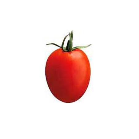 TOMATE PERA